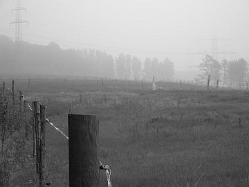 Nebel am Geburtstag