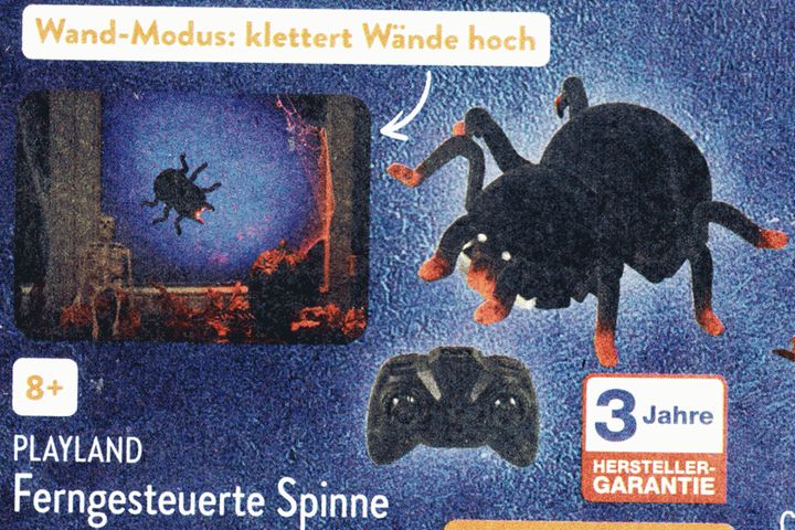 Ferngesteuerte Spinne